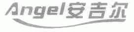 安吉尔;ANGEL