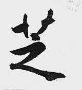 芝