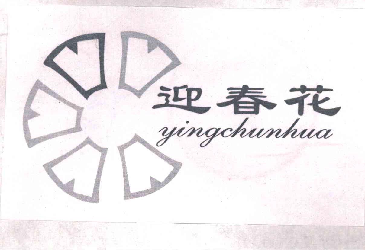 迎春花