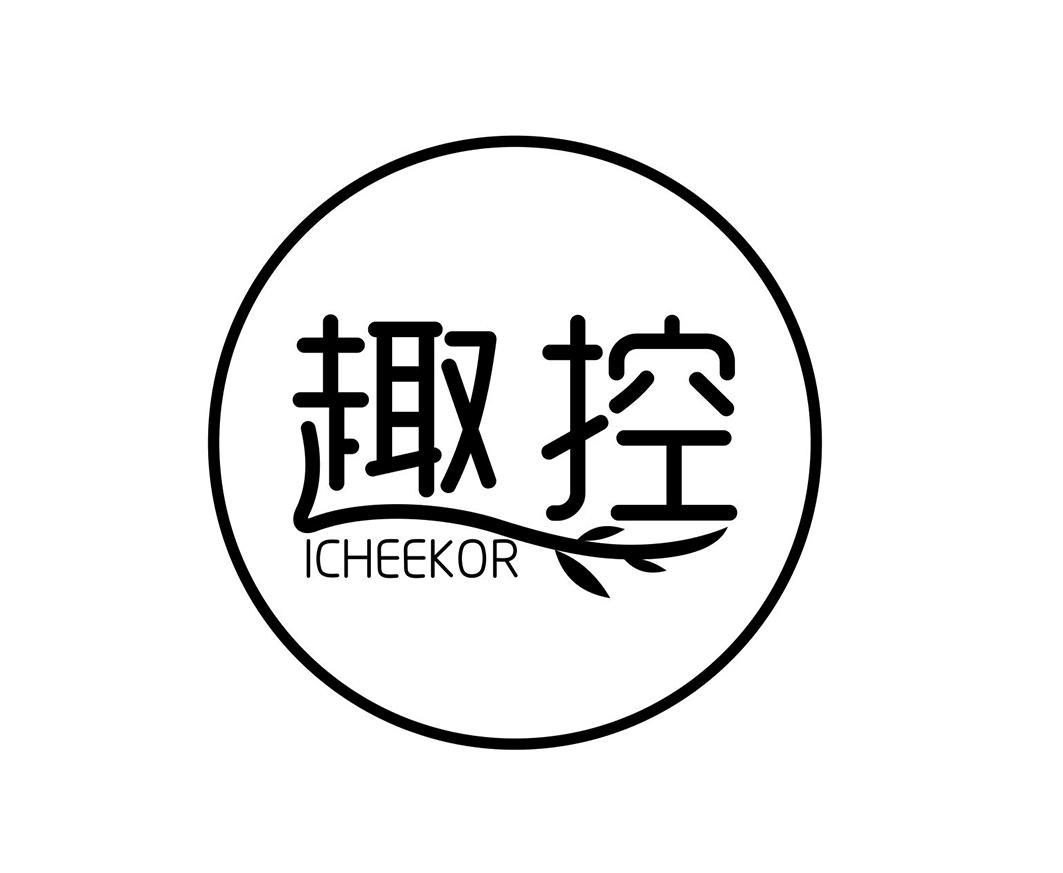 趣控 ICHEEKOR