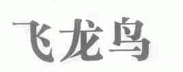 飞龙鸟