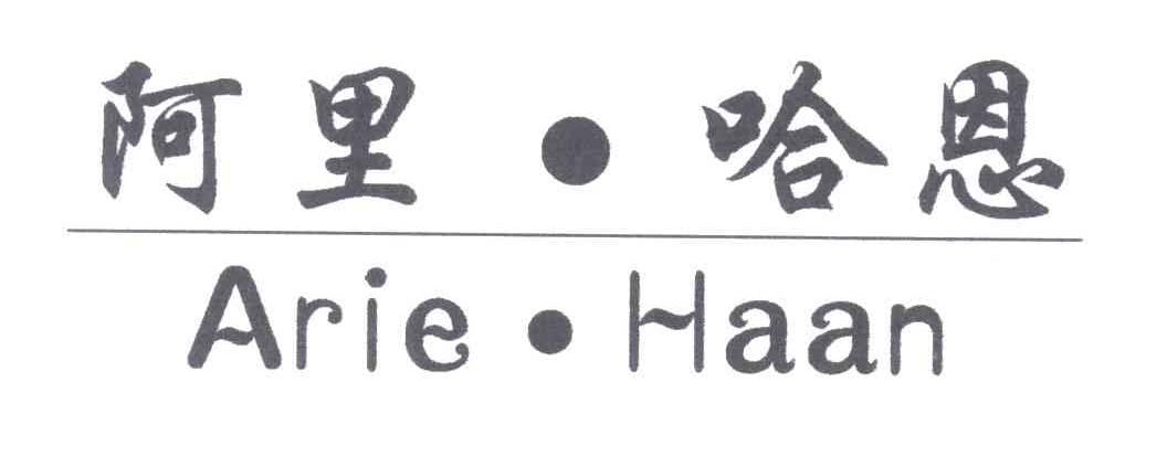 阿里 哈恩;ARIE HAAN