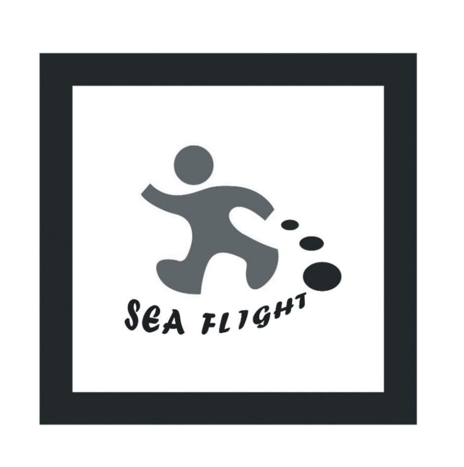 SEA FLIGHT
