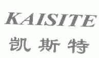 凯斯特