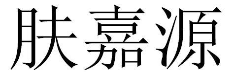 肤嘉源