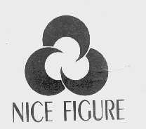 NICE FIGURE
