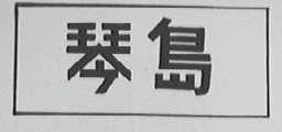 琴岛