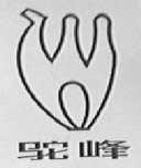驼峰