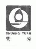 双源