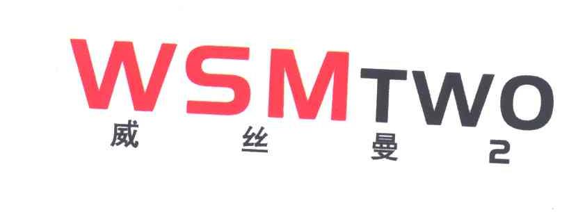 威丝曼WSMTWO