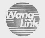 WANG LINI