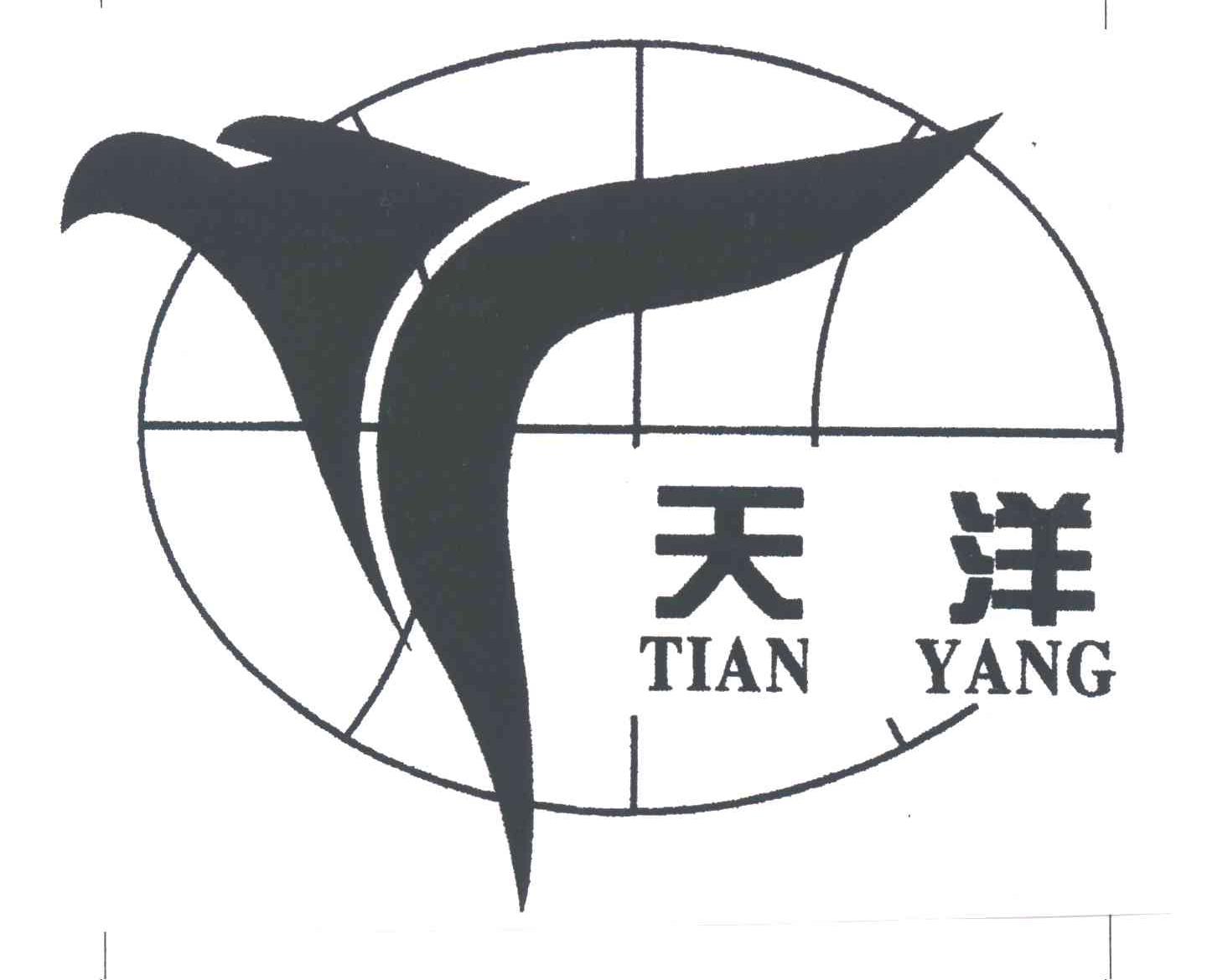 天洋