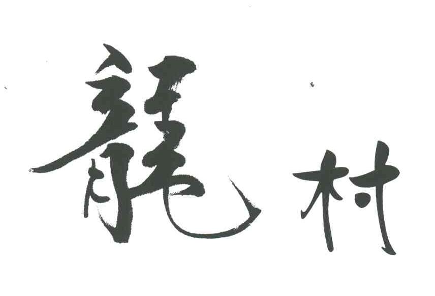 龙村