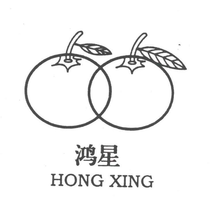鸿星