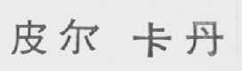 皮尔卡丹