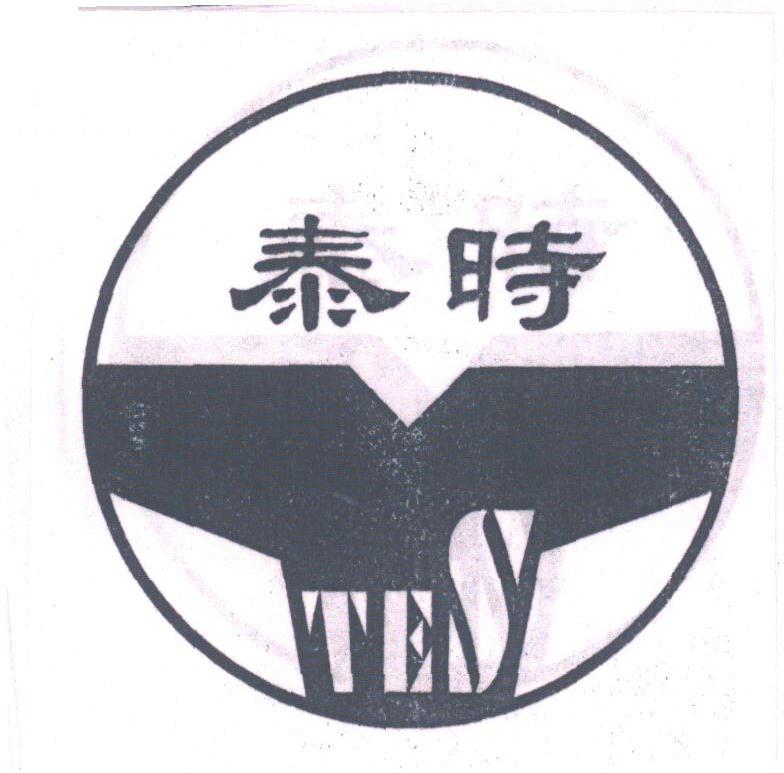 泰时;TES