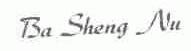 BA SHENG NU