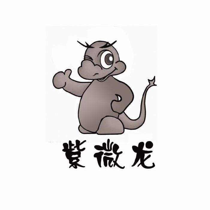 紫微龙