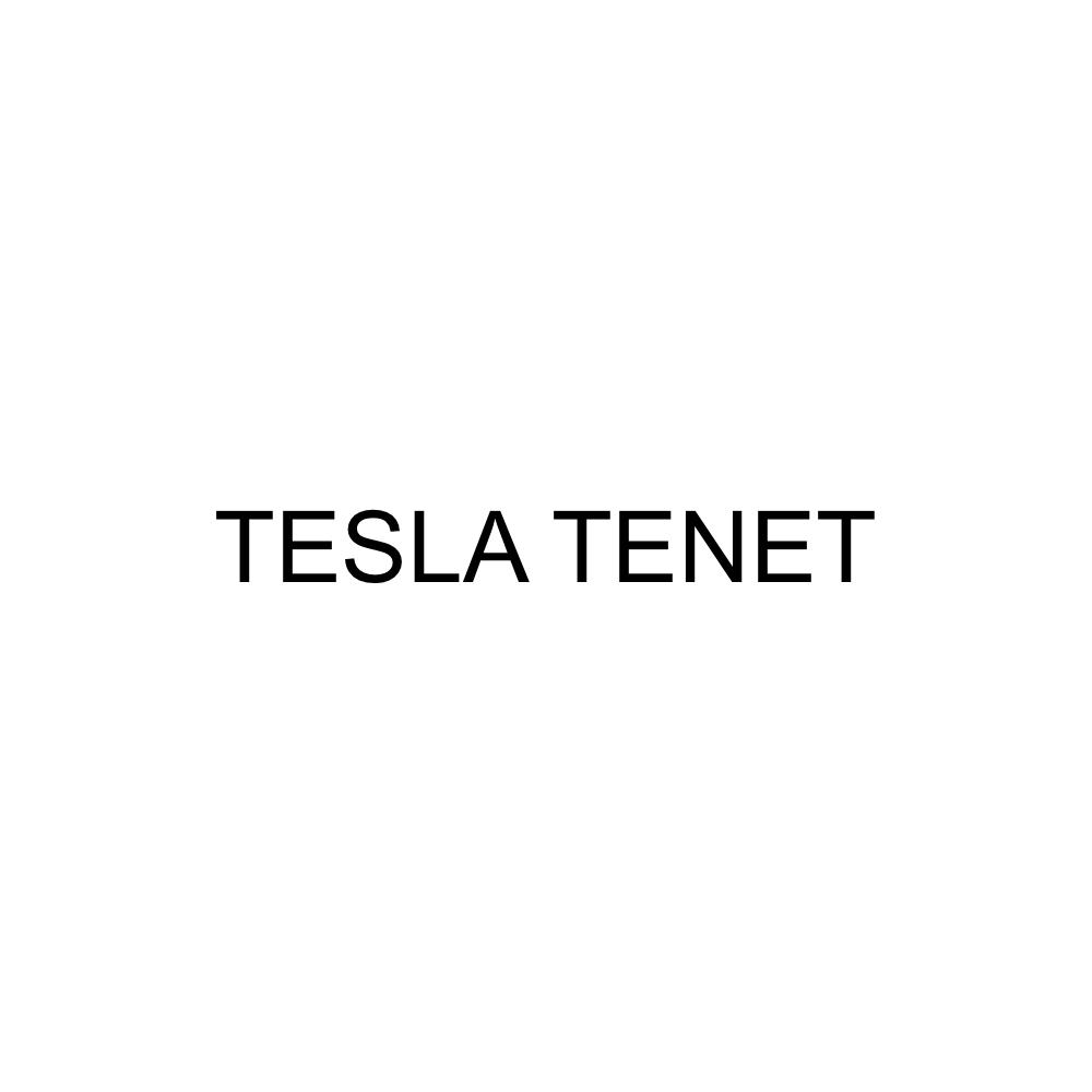 TESLA TENET