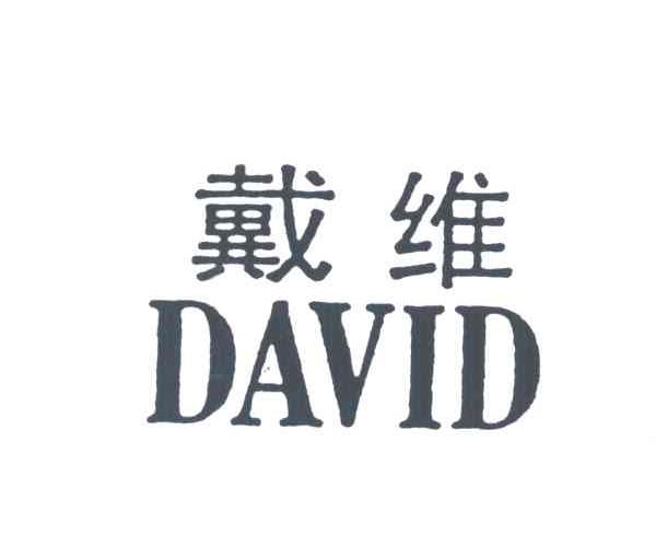 戴维 DAVID