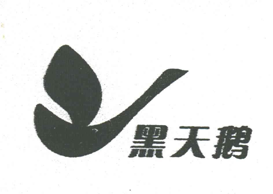 黑天鹅