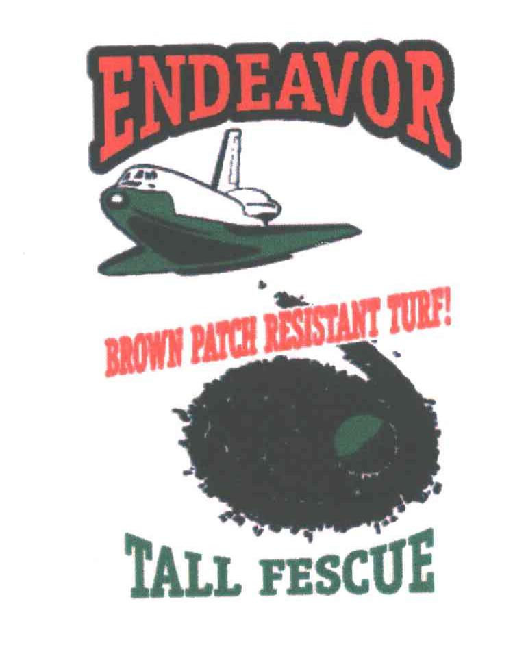 ENDEAVOR;TALL FESCUE