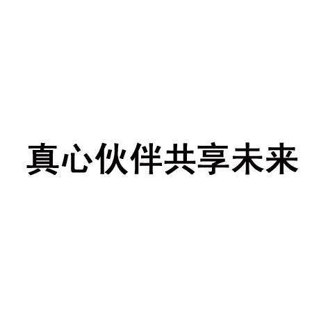 真心伙伴共享未来