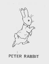 PETER RABBIT