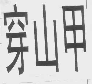 穿山甲