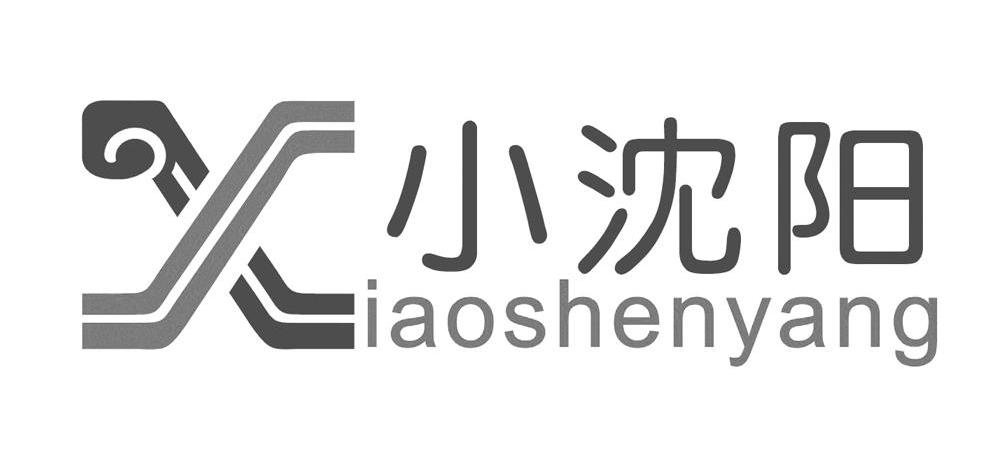 小沈阳