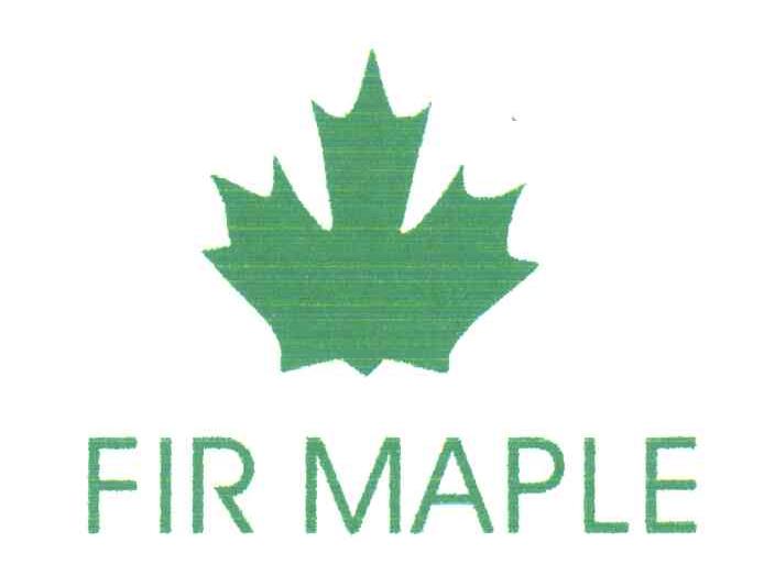 FIR MAPLE