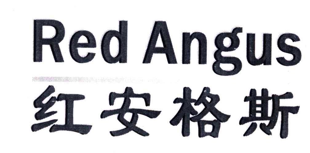 红安格斯;RED ANGUS