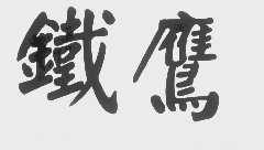 铁鹰