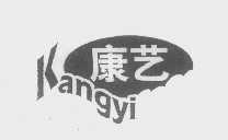 康艺