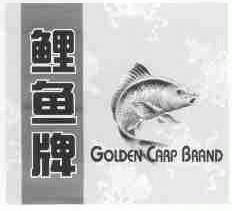 鲤鱼;GOLDEN CARP