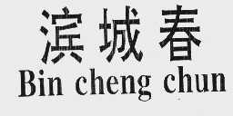 滨城春