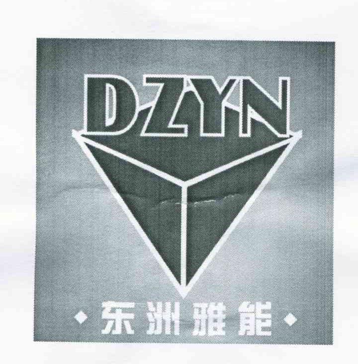 东洲雅能 DZYN