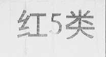 红5类