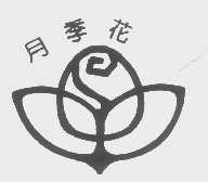 月季花