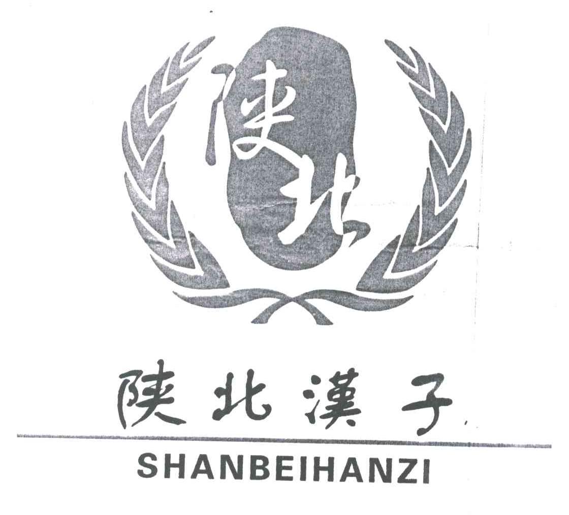 陕北 陕北汉子