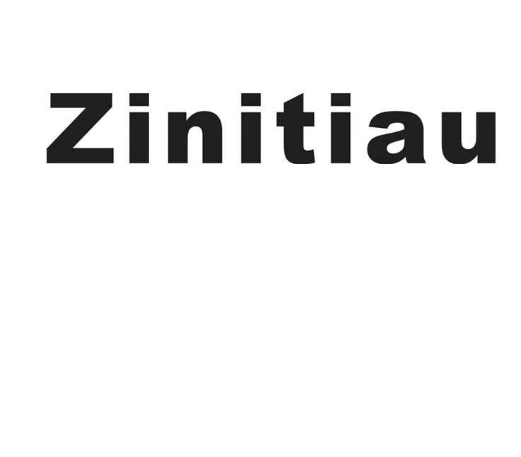 ZINITIAU