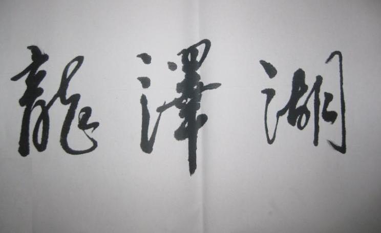 龙泽湖
