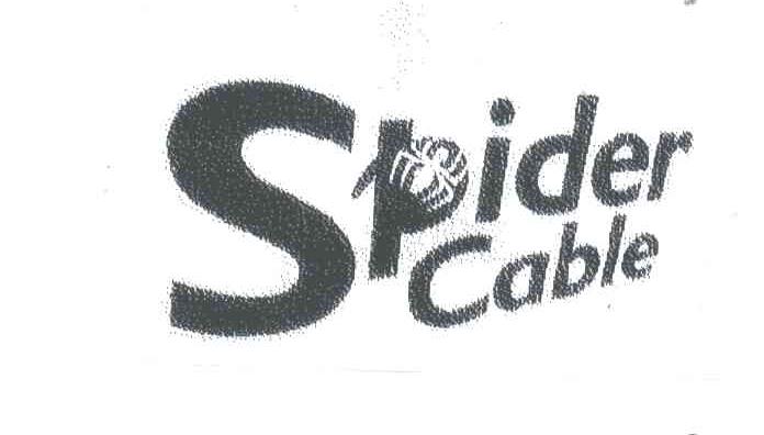 SPIDER CABLE