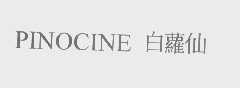 白萝仙   PINOCINE