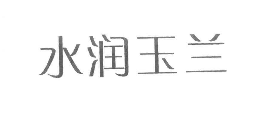 水润玉兰