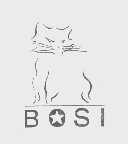 BOSI