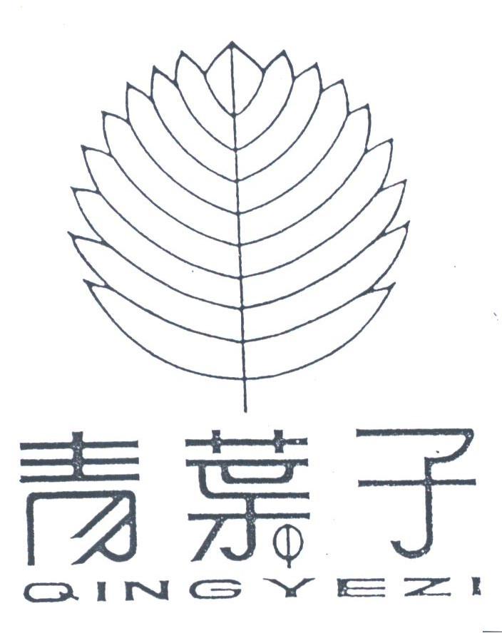 青叶子