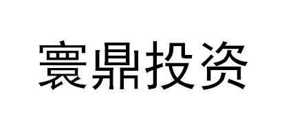 寰鼎投资