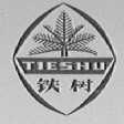 铁树