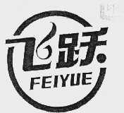 飞跃